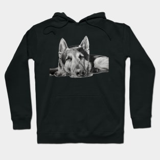 Sleepy Pup Hoodie